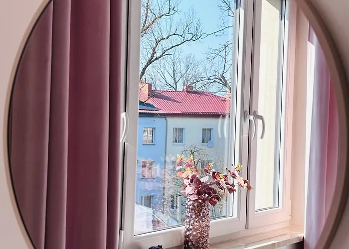 White Glove Deluxe 1 Maja Olsztyn (Warmian-Masurian)